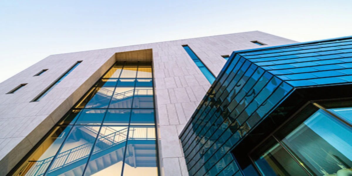 Integrating Biophilic Design Elements for Healthier Work Environments